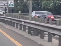 Bak GTA, Begini Detik-detik Mercy Lawan Arus di Tol JORR Sebelum Tabrakan