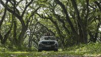Wuling Almaz Menembus Hutan De Djawatan