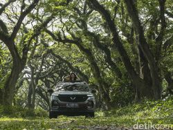 Wuling Almaz Menembus Hutan De Djawatan