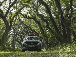 Wuling Almaz Menembus Hutan De Djawatan