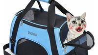 8 Potret Desain Iklan Gagal Ini Konyol Abis, Bikin Ketawa Sampai Bengek