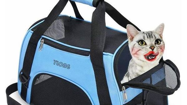 8 Potret Desain Iklan Gagal Ini Konyol Abis, Bikin Ketawa Sampai Bengek