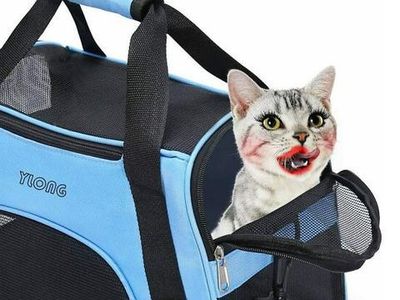 8 Potret Desain Iklan Gagal Ini Konyol Abis, Bikin Ketawa Sampai Bengek