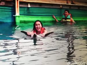 Tragis Nasib Lumba-lumba yang Pernah Ditunggangi Lucinta Luna Tragis Nasib Lumba-lumba yang Pernah Ditunggangi Lucinta Luna