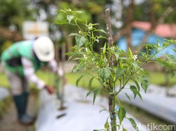 Ekologi Adalah: Pengertian, Konsep, Ruang Lingkup dan Manfaat