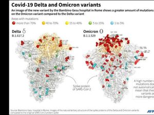 Puan soal Varian Omicron: Cegah Imported Case Perlu Pengawasan Ekstra