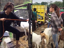 Kisah Wanita 21 Tahun yang Sukses Jualan Kambing
