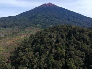 Orang Bunian Jambi, Makhluk Pendek Berkaki Terbalik Penghuni Gunung Kerinci Orang Bunian Jambi, Makhluk Pendek Berkaki Terbalik Penghuni Gunung Kerinci