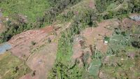 Duh, Perambahan Hutan di Kaki Gunung Kerinci Terus Meluas