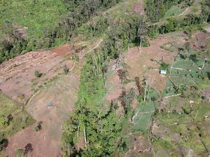 Duh, Perambahan Hutan di Kaki Gunung Kerinci Terus Meluas