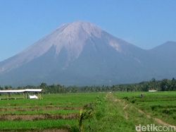 Gunung Semeru Erupsi, Ini 9 Fakta Mahameru