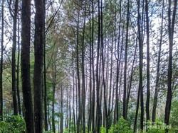 Tempat Menantang nan Tersembunyi untuk Bersepeda di Bandung