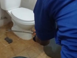 Ngeri! Ular Kobra Tiba-tiba Muncul dari dalam Kloset Lalu Semburkan Bisa