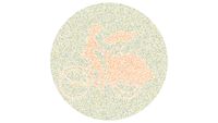 Apakah Mata Kamu Normal Melihat Warna? Tes Lewat Tebak Gambar Ini