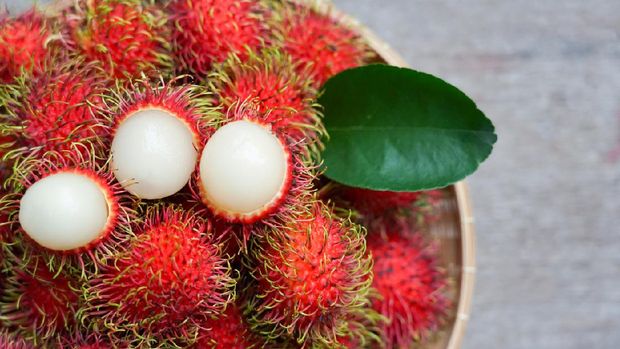 Ilustrasi buah rambutan
