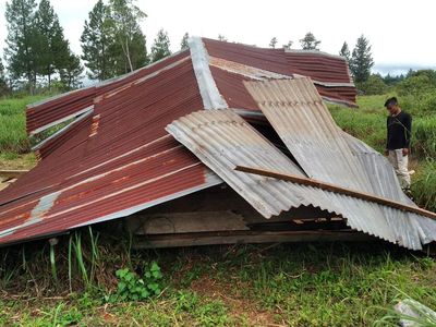 Rusak 18 Rumah Warga Aceh Diamuk Gajah Gegara Pagar Dicuri