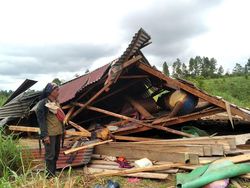 Bagian Pagar Kejut Dicuri, 18 Rumah Warga Aceh Rusak Diamuk Gajah