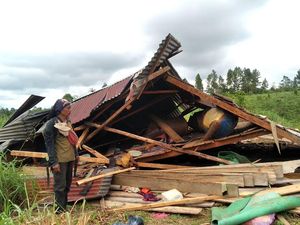 Bagian Pagar Kejut Dicuri, 18 Rumah Warga Aceh Rusak Diamuk Gajah