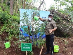 Rehabilitasi DAS, KLHK Tanam 901.955 Bibit di Perbukitan Menoreh