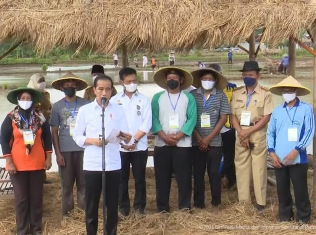 Jokowi Sebut Produksi Beras di Jatim Mampu Suplai Provinsi Lain