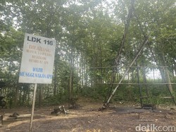 Melihat Lebih Dekat Aktivitas Tambang Minyak di Sumur Tua Blora