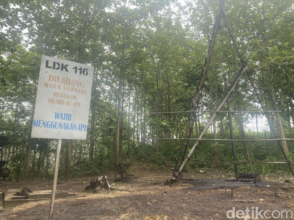 Melihat Lebih Dekat Aktivitas Tambang Minyak di Sumur Tua Blora Melihat Lebih Dekat Aktivitas Tambang Minyak di Sumur Tua Blora