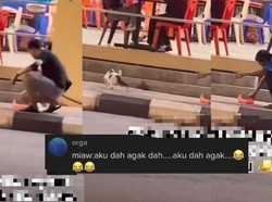 Beli Ayam Goreng Buat Kucing Jalanan yang Makan Justru Bapak-bapak