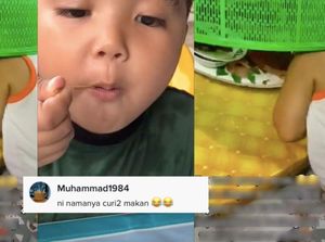 Bikin Ngakak! Demi Bisa Curi Makanan, Bocah Ini Ngumpet di Tudung Saji