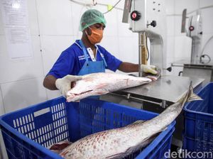 Di Sini, Hasil Laut Para Nelayan Papua Disimpan Sebelum Dipasarkan Di Sini, Hasil Laut Para Nelayan Papua Disimpan Sebelum Dipasarkan