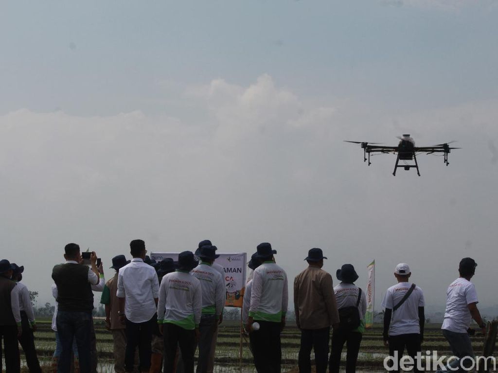 Kala Petani di Ciparay Terkesima Drone Penyemprot Pupuk Kala Petani di Ciparay Terkesima Drone Penyemprot Pupuk