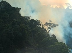 Waspada! Sejumlah Wilayah Diprediksi Alami Musim Kemarau Lebih Kering