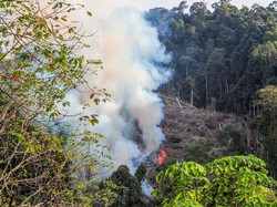 Geger Kebakaran Semak, Warga Perumahan Munggu Buru-buru Padamkan Api