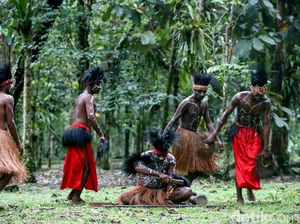 Mengenal Tari Seka, Tarian Asli Suku Kamoro di Papua Mengenal Tari Seka, Tarian Asli Suku Kamoro di Papua