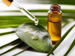 Minum Minyak Kayu Putih, Bahaya Nggak Sih? Begini Penjelasan Ahli