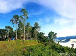 Indah Nian Bukit Anugerah di Polewali Mandar, Instagramable Banget!