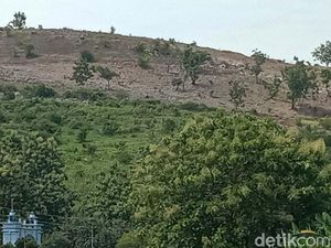 Potret Gundulnya Pegunungan Kendeng yang Diduga Jadi Pemicu Banjir