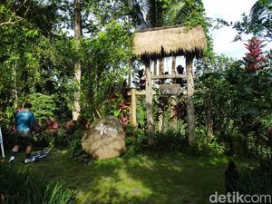 Bersantap Sambil Lihat yang Hijau-Hijau di Bali, di Gianyar Ada yang Sip Nih