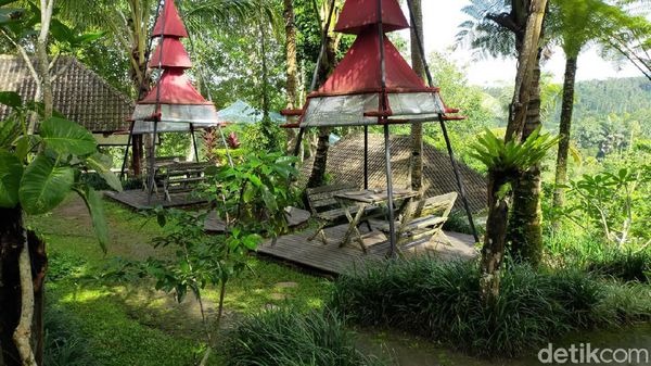 Foto: Kulineran Asyik Ditemani Hijau Alam Bali