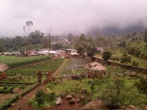 Suku Tengger Disebut Keturunan Terakhir Majapahit Suku Tengger Disebut Keturunan Terakhir Majapahit