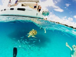 Resmi Jadi Republik, Banyak Tempat Kece untuk Traveling di Barbados