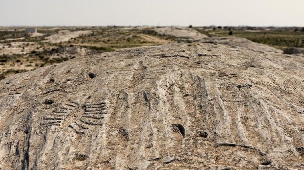 Al Jassasiya, Qatar Close ups of Al Jassasiya Rock Carvings or petroglyphs, Qatar.