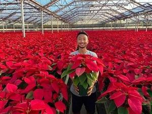 Berhasil ke Amerika dan Belanda, Alumnus IPB Beri Tips Magang di Luar Negeri