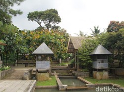 Berwisata Sambil Belajar Menjadi Peternak dan Petani di Kuntum Farm Field