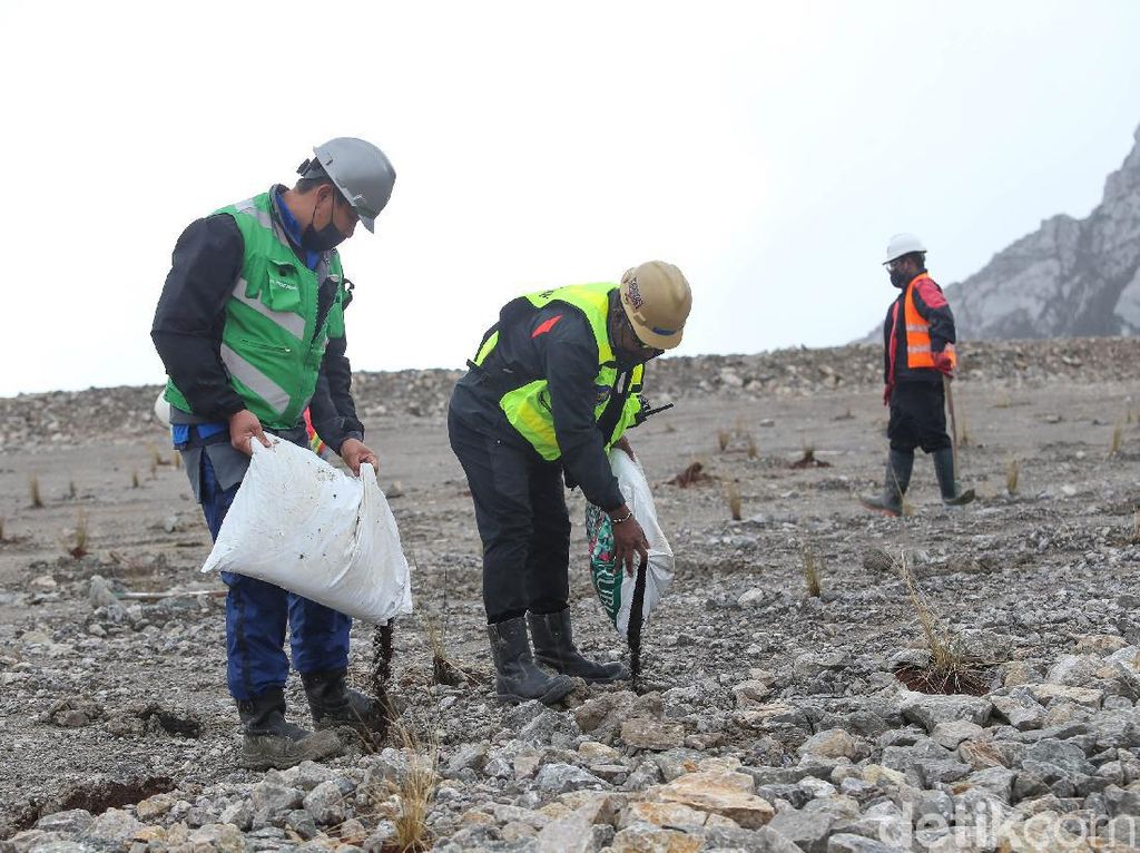 Kejar Target Nol Emisi, MIND ID Reforestasi 17.267 Ha Eks Area Tambang Kejar Target Nol Emisi, MIND ID Reforestasi 17.267 Ha Eks Area Tambang