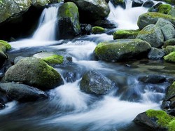 Siapa Mayoritas Penghuni Surga, Laki-Laki atau Perempuan?