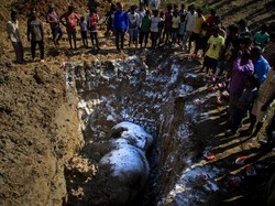 Pilu! Dua Gajah Mati Tertabrak Kereta di India