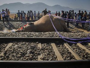 Pemakaman Mengharukan 2 Gajah yang Mati Ditabrak Kereta di India Pemakaman Mengharukan 2 Gajah yang Mati Ditabrak Kereta di India