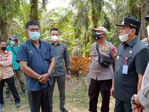 Perusahaan Sawit Jelaskan soal Parit yang Bikin Plt Bupati Kuansing Berang