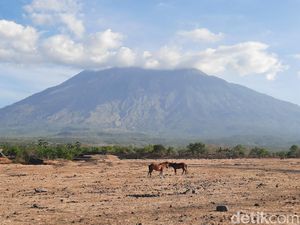 Savana Tianyar, Bikin Kamu Merasa di Afrika padahal di Bali