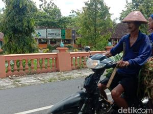 Ternyata Ada Beberapa Sekolah yang Berdiri di Tanah Warga Gunungkidul Ternyata Ada Beberapa Sekolah yang Berdiri di Tanah Warga Gunungkidul